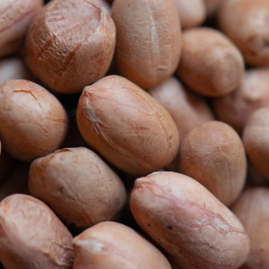 【新孟成】蒜味帶皮花生米