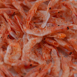 【新孟成】】櫻花蝦(低溫配送)