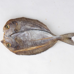 【新孟成】澎湖象魚乾_秤重計價(低溫配送)