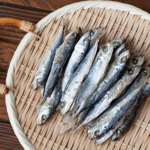 【新孟成】澎湖四破魚干(低溫配送)