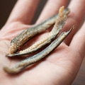 【新孟成】澎湖臭肉魚絲(沙丁魚干)(低溫配送)_1