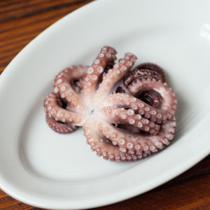 【新孟成】澎湖生章魚