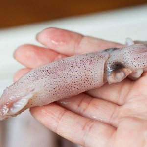 【新孟成】迷你冰卷(熟)(含墨)