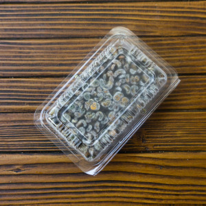 【新孟成】澎湖熟珠螺(每日手採/需等待)