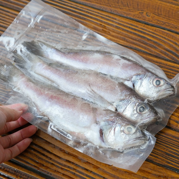 【新孟成】澎湖邦頭(2-3尾入)