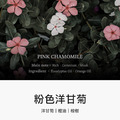 聚美世｜MUMCHIT【Stay Perfume 晚安擴香*2瓶】_2