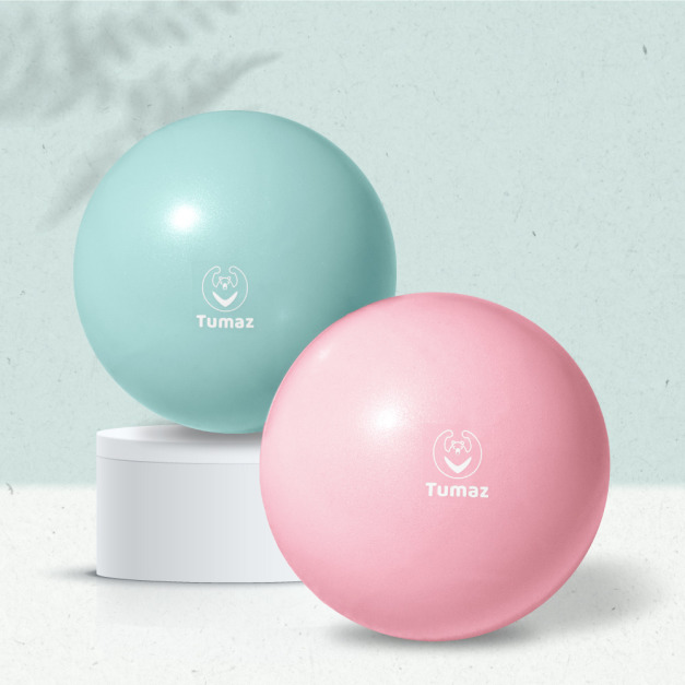 [加購品不參與任何活動] 25cm皮拉提斯球(贈氣筒)