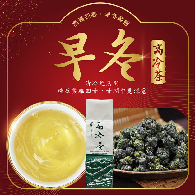 2025冬茶上市｜早冬｜高冷茶