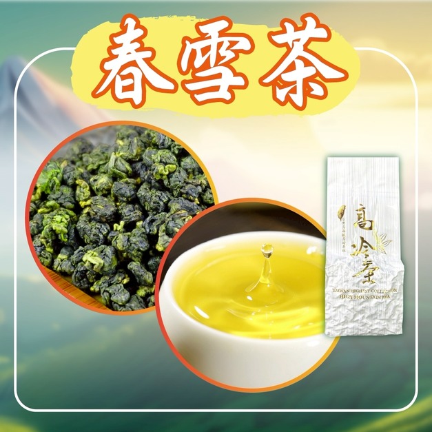 2026春茶上市｜春雪茶