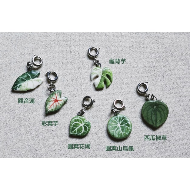 【畫植 paintingPlants】盲盒 - 單個