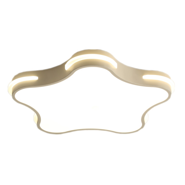 	LED現代簡約星形吸頂燈(白光 )24W