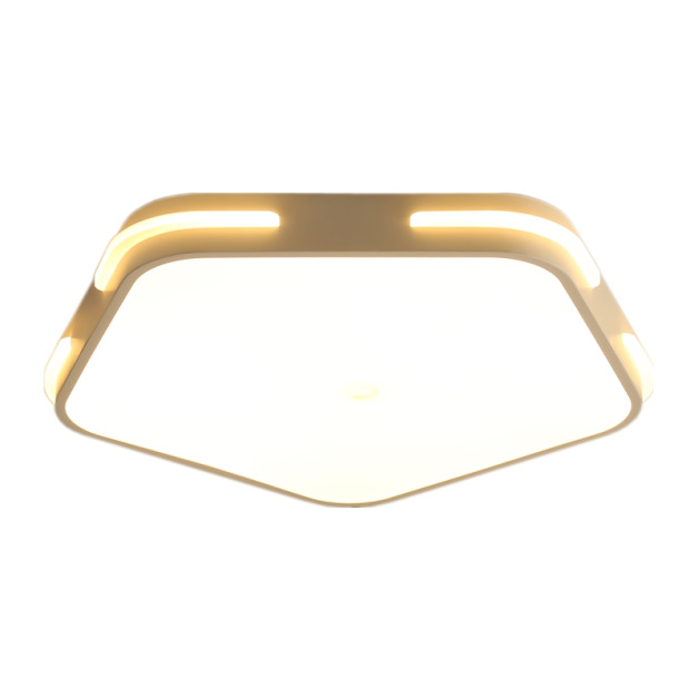 LED現代簡約五角形吸頂燈(白光 )24W