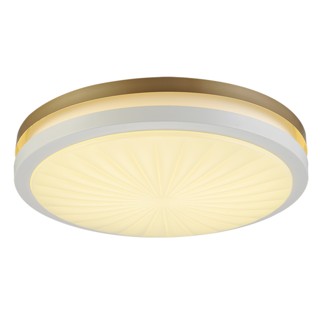 LED簡約現代吸頂燈(500x80)三色變光