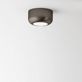 Ceiling Light ( Preorder )_4