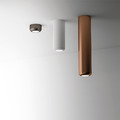 Ceiling Light ( Preorder )_1