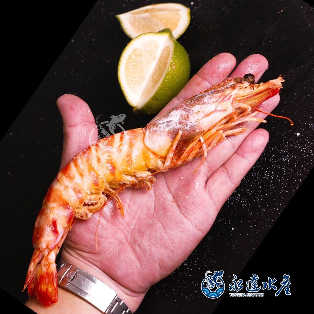 水產|海鮮|巨無霸船凍大明蝦|大明蝦|明蝦|蝦肉|蝦