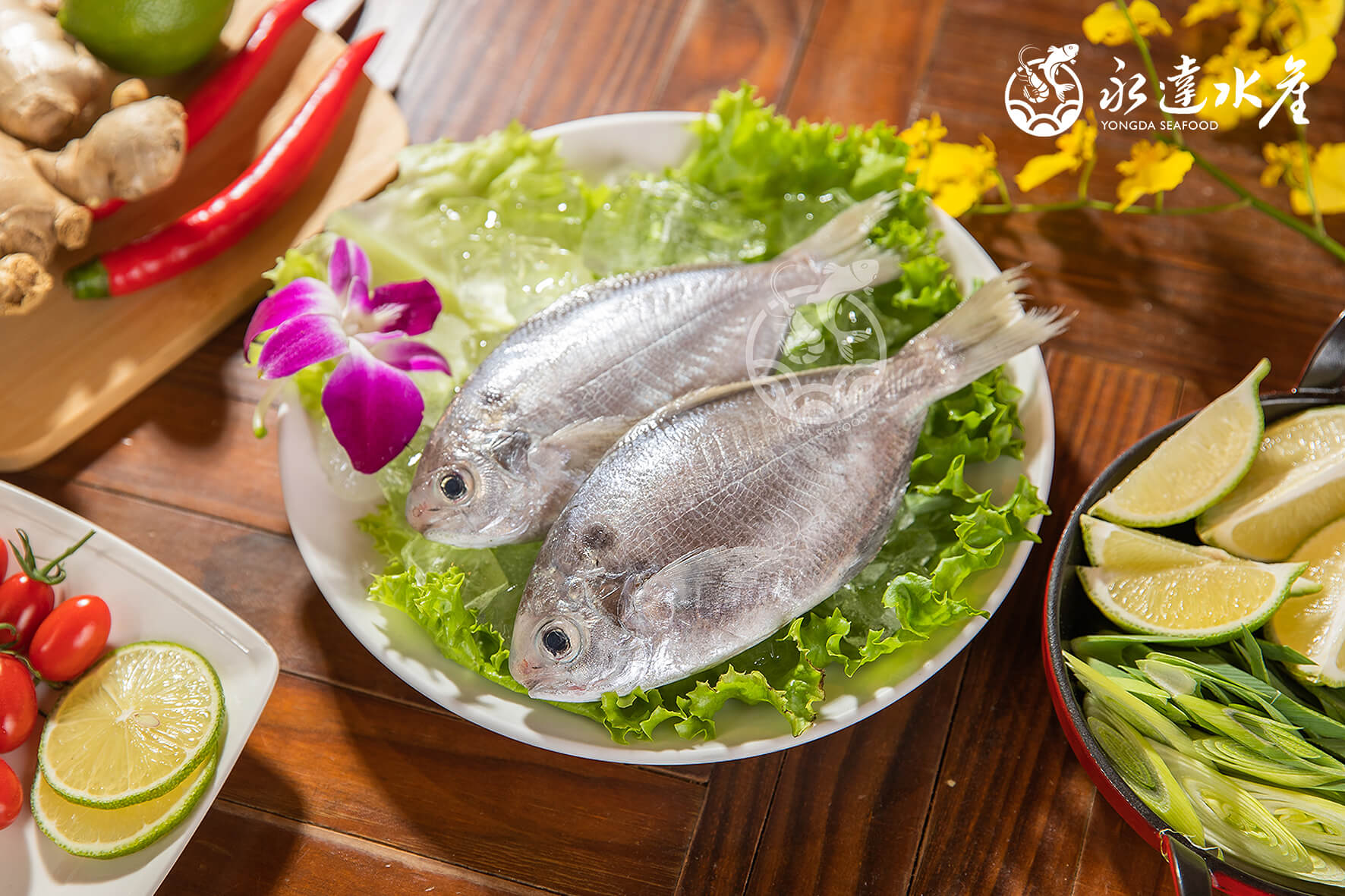 水產|海鮮|鮮凍野生肉魚|生肉魚|野生|魚肉|魚