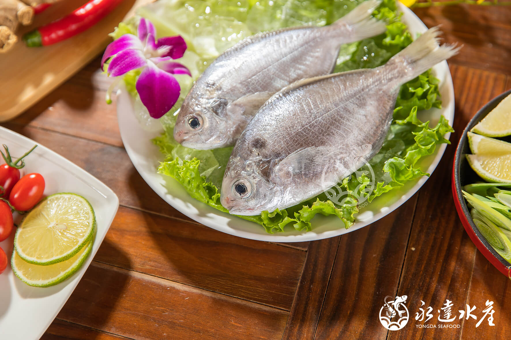 水產|海鮮|鮮凍野生肉魚|生肉魚|野生|魚肉|魚
