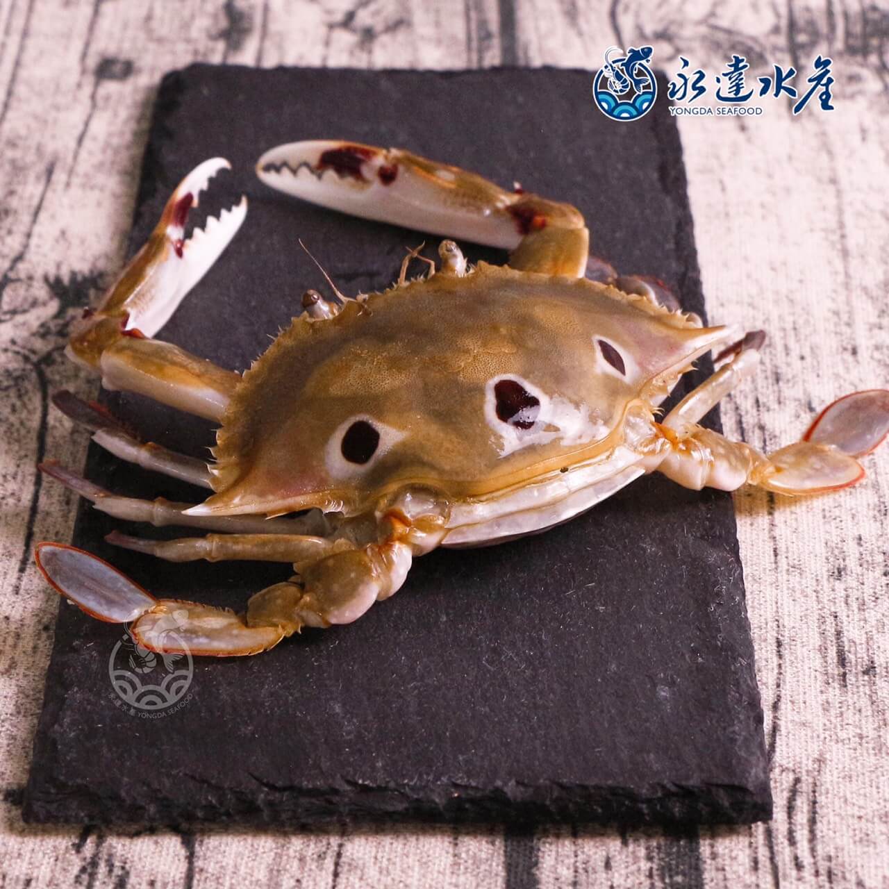 水產|海鮮|鮮凍抱蛋三點蟹|三點蟹|母蟹|蟹肉|蟹黃|螃蟹|蟹