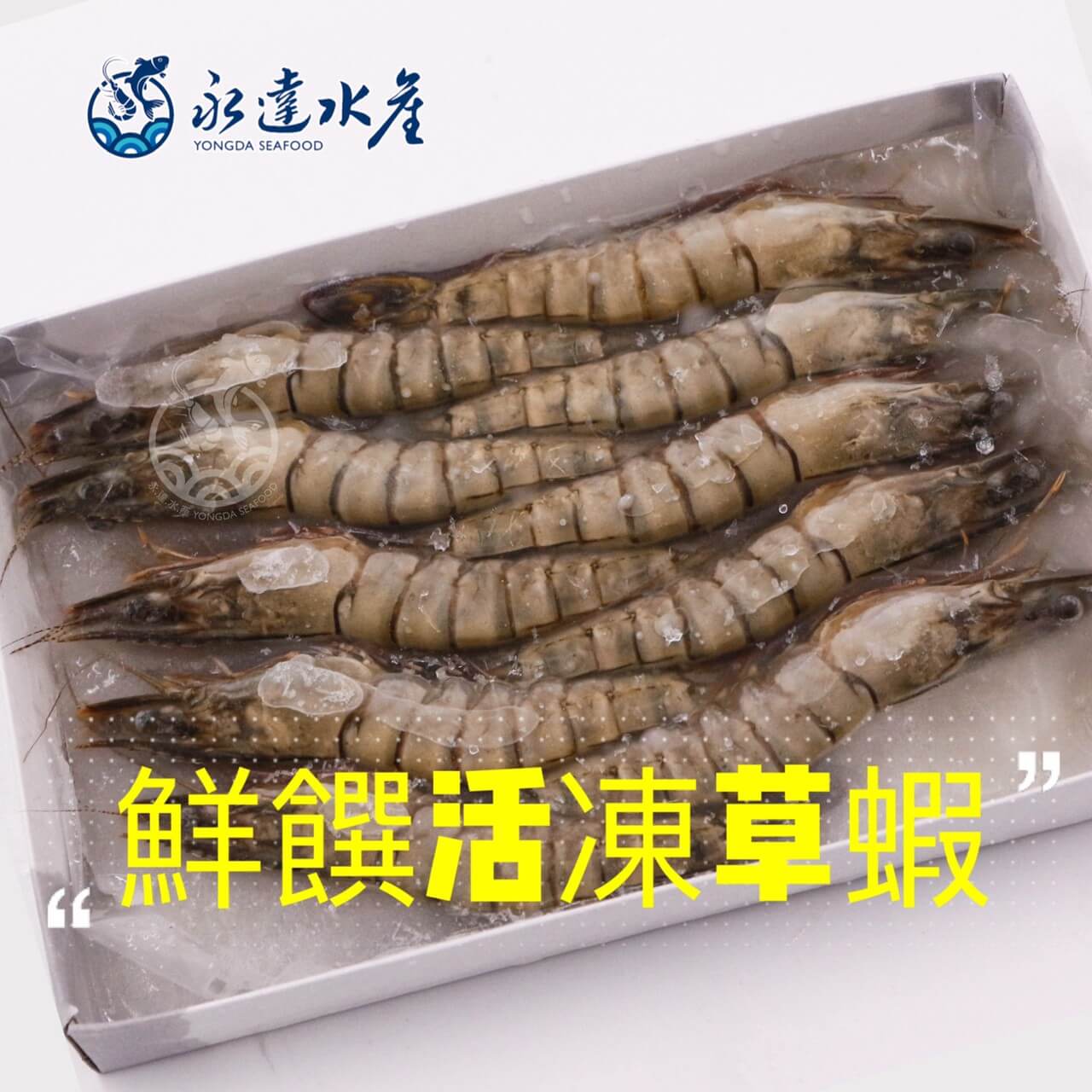 水產|海鮮|鮮饌活凍草蝦|草蝦|黑虎蝦|鬼蝦|蝦肉|蝦