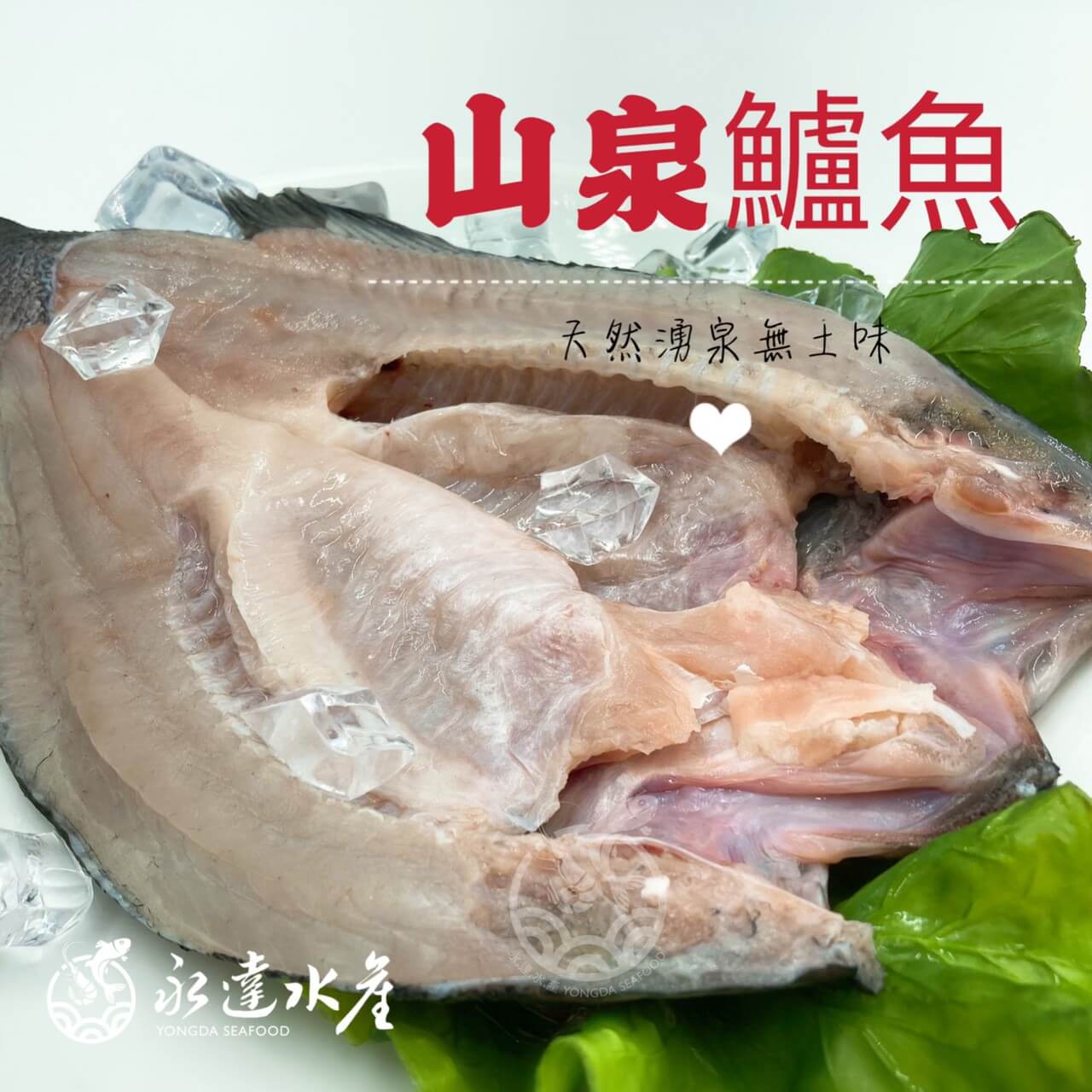 水產|海鮮|山泉鱸魚|鱸魚|花鱸|七星鱸|寨花|魚肉|魚