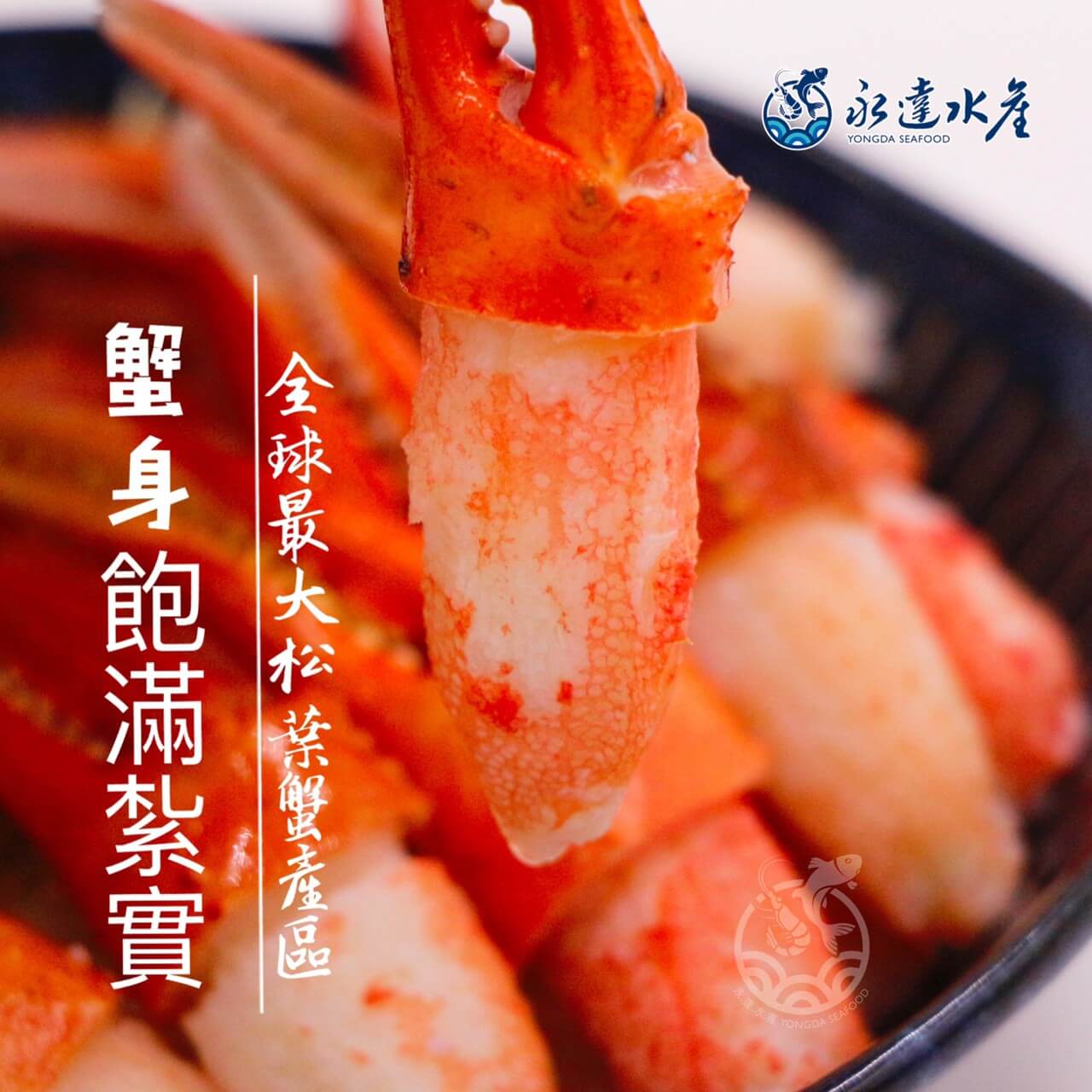 水產|海鮮|日本原裝松葉蟹鉗|松葉蟹|雪蟹|楚蟹|津和井蟹|蟹鉗|蟹肉|螃蟹|蟹