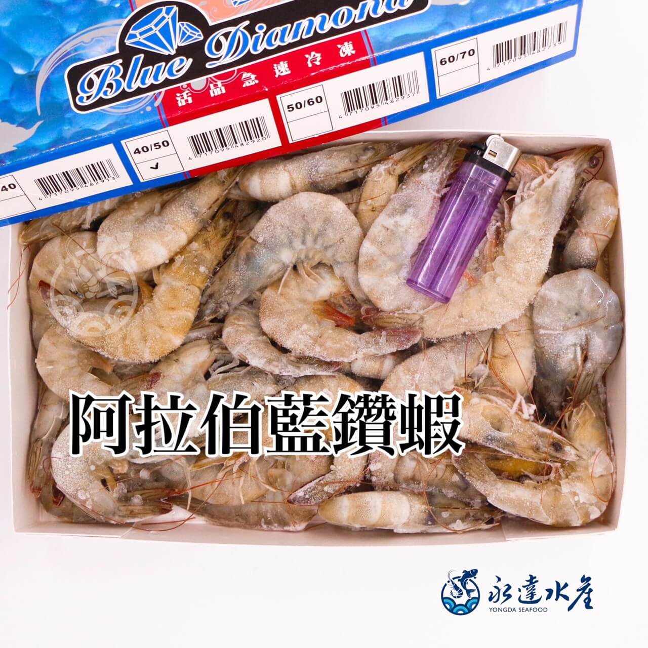 水產|海鮮|阿拉伯藍鑽蝦|藍鑽蝦|白蝦|白對蝦|白腳蝦|蝦肉|蝦
