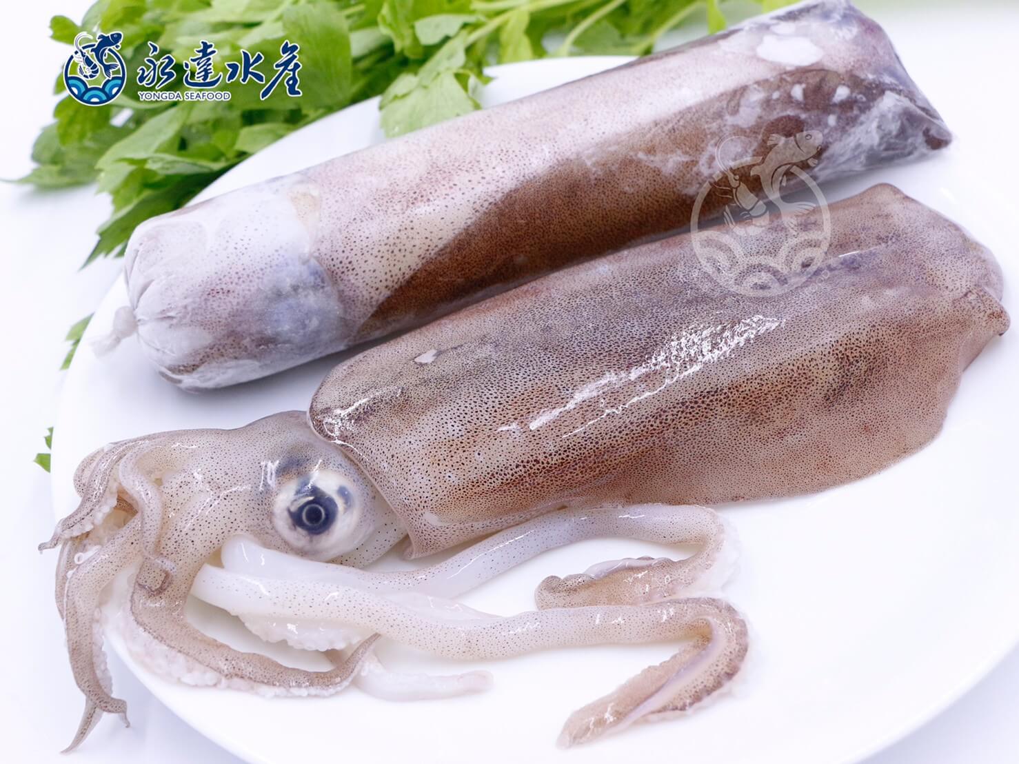水產|海鮮|活凍軟絲|軟絲|軟翅仔|擬烏賊