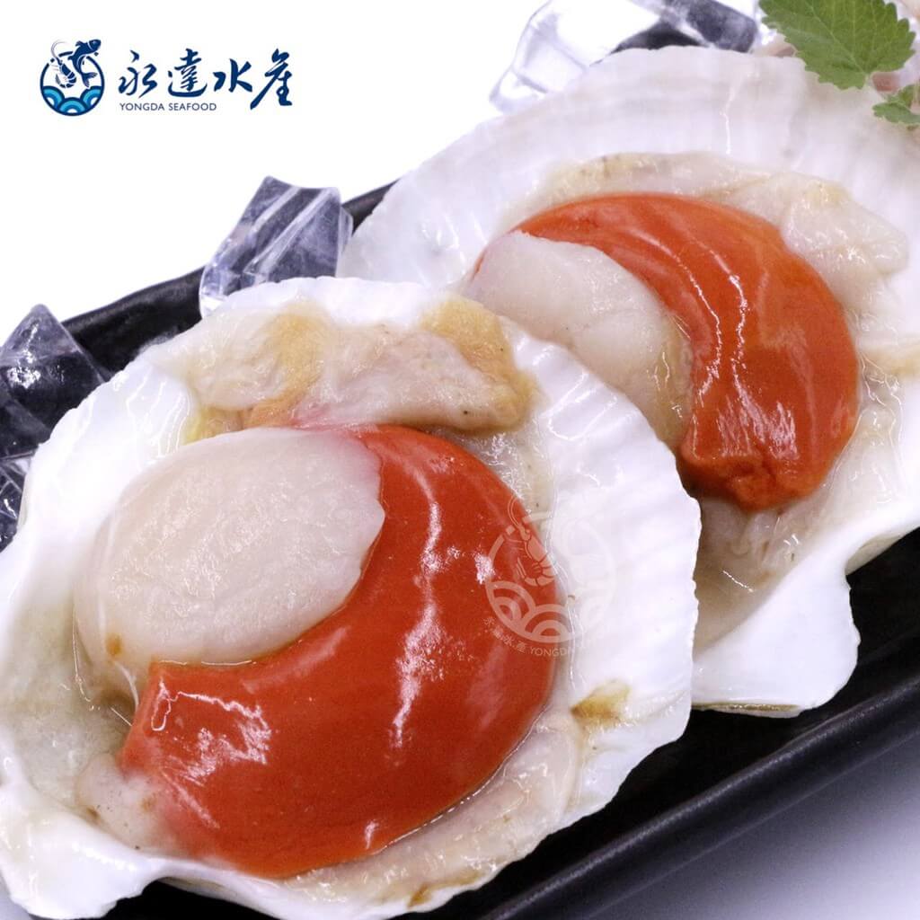 水產|海鮮|半殼扇貝|扇貝|元貝|帶子|扇貝肉|貝肉|貝