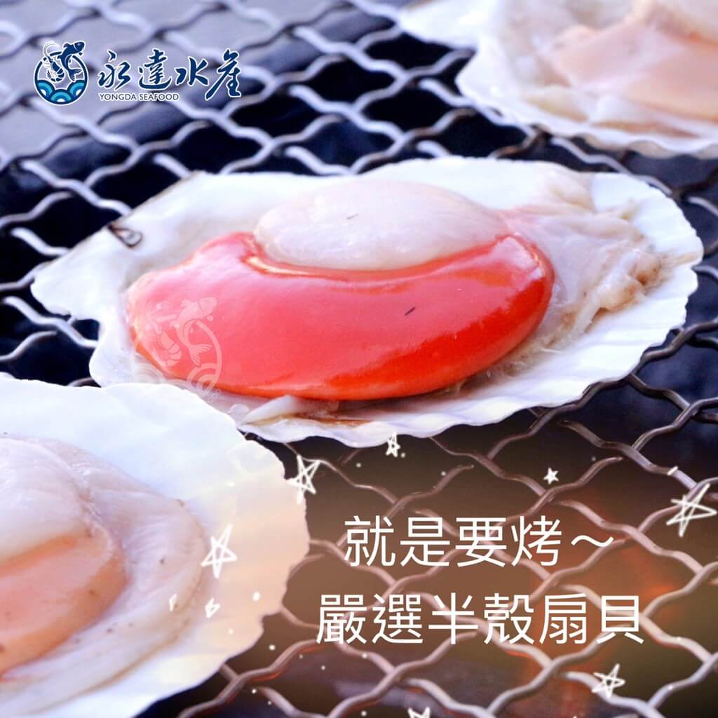 水產|海鮮|半殼扇貝|扇貝|元貝|帶子|扇貝肉|貝肉|貝