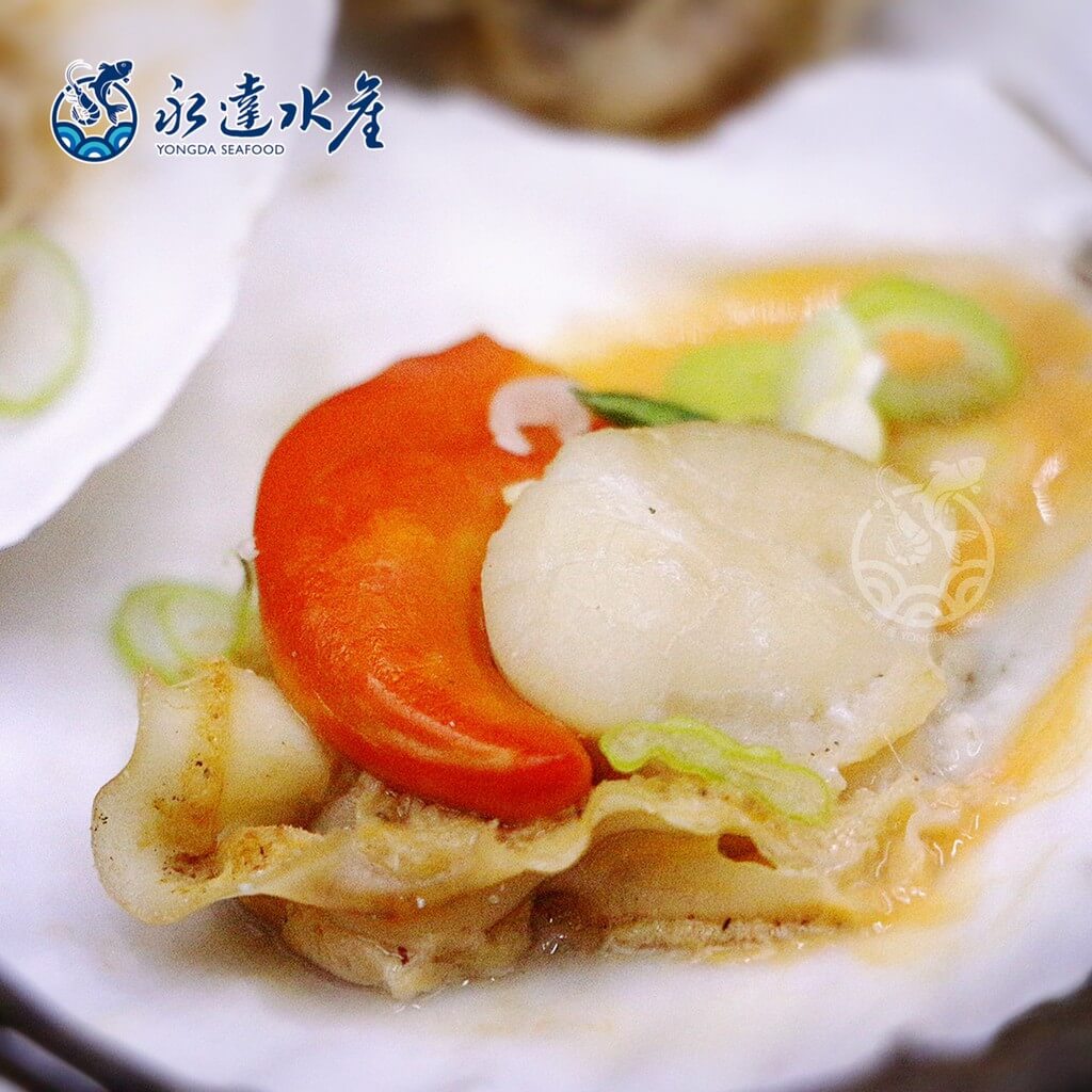 水產|海鮮|半殼扇貝|扇貝|元貝|帶子|扇貝肉|貝肉|貝