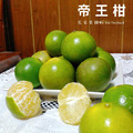 帝王柑【5 斤／箱】_1