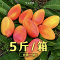 香水芒果【5斤／箱】