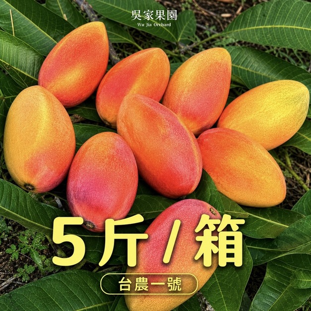 香水芒果【5斤／箱】