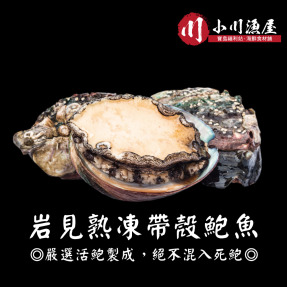 小川漁屋 熟凍帶殼鮑魚6包（300g&plusmn;10%/包/8~11顆)