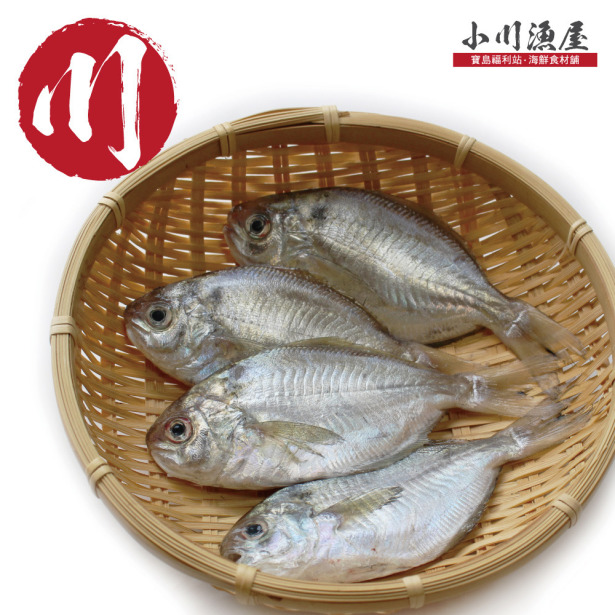 小川漁屋 極鮮野生肉魚5包（600g±10%/包/4-6尾）