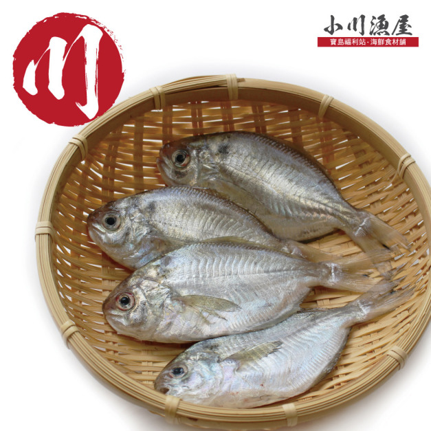 小川漁屋 極鮮野生肉魚8包（600g&plusmn;10%/包/4-6尾）