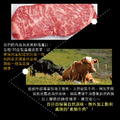豪鮮牛肉 美國安格斯PRIME頂級霜降翼板牛排5片(200g±10%/片)_3