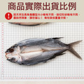 小川漁屋 台灣飛魚一夜干7尾(250-300g/尾)_3