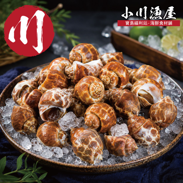 小川漁屋 嚴選活凍鳳螺6包(500g&plusmn;10%)