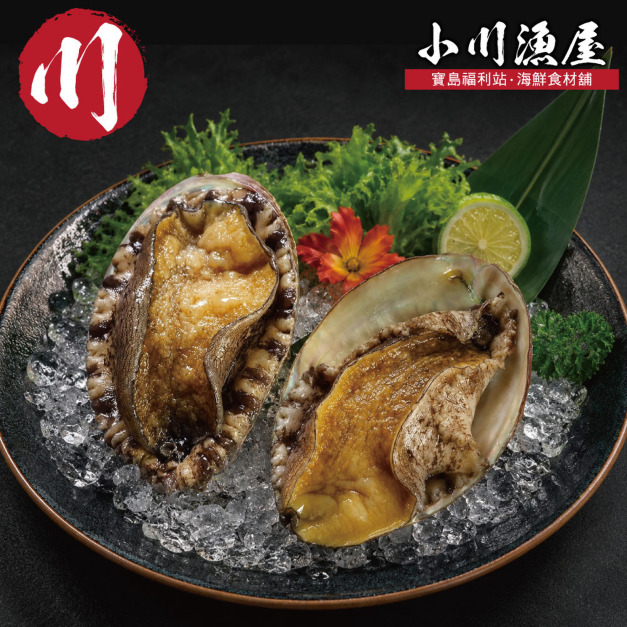 小川漁屋 極品南非活凍帶殼鮑魚1包（500g/包/約6~8粒&plusmn;10%）_任選