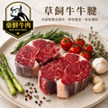 豪鮮牛肉 南美草飼之星全天然牛腱切塊5包（500g&plusmn;10%/包）