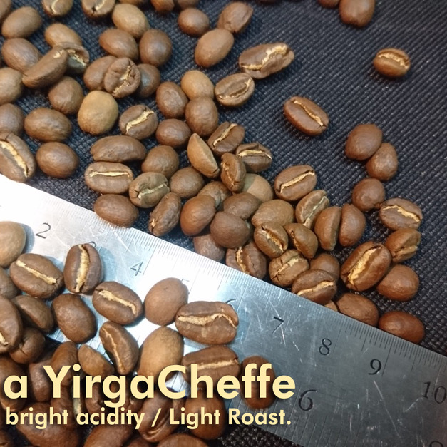 衣索比亞 耶加雪菲