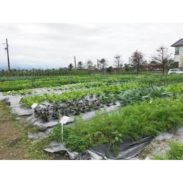 原鴨生態教育園區 【菜園認養專頁】