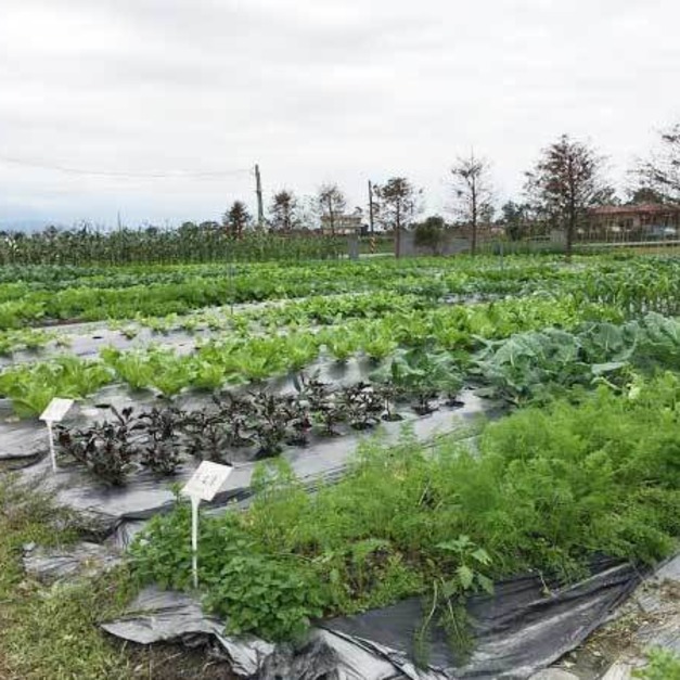 原鴨生態教育園區 【菜園認養專頁】