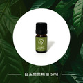 白玉蘭葉精油_1