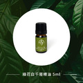 綠花白千層精油_1