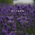 薰衣草協奏曲 純精油_1
