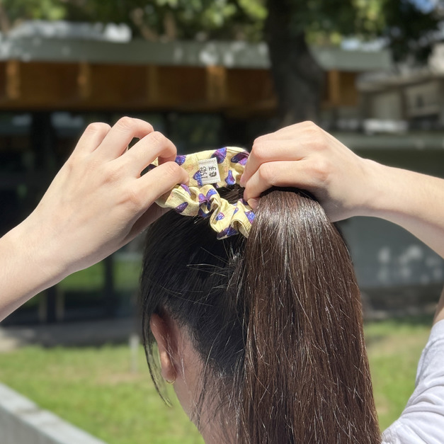 臺灣特有亞種 紫斑蝶｜綠野叢林｜髮圈．中