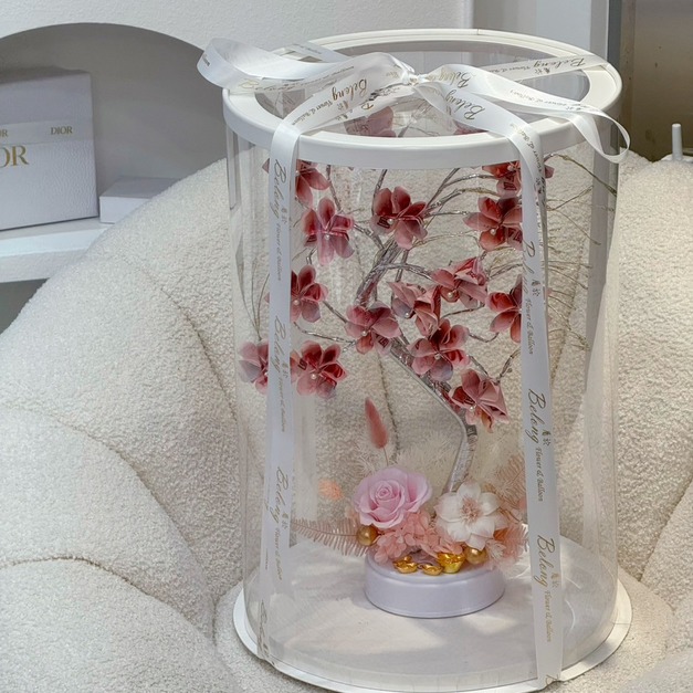 錢錢招財樹<含1600現金>